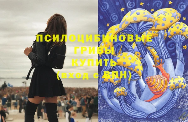 mdpv Белокуриха