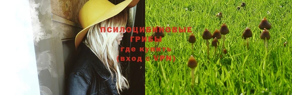дурь Белоозёрский