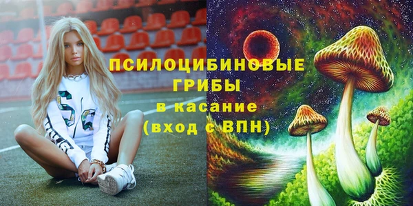 Альфа ПВП Богородицк