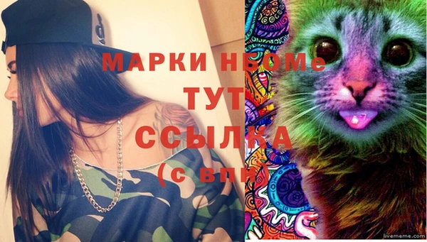 mdpv Белокуриха