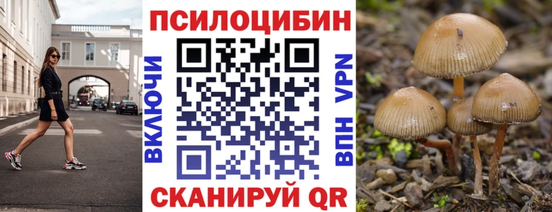Псилоцибиновые грибы Psilocybine cubensis  Тосно 